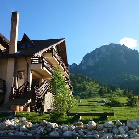 Taverna Pietrei Craiului Zărneşti Exterior foto